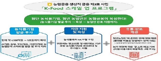농협금융, 생산적 금융 3호는「K-Food 스케일 업 프로그램」! 대표 이미지