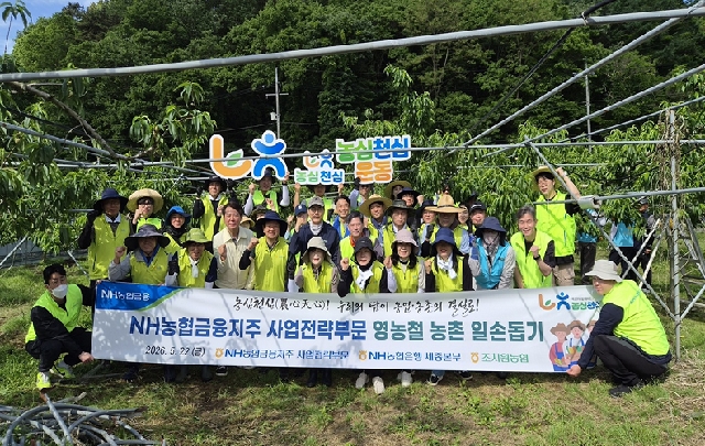 NH농협금융지주 사업전략부문, 영농철 농가 일손돕기 실시 대표 이미지