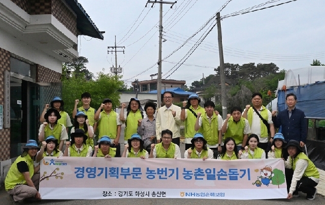 농협손해보험, 경영기획부문 농촌 일손돕기 실시 대표 이미지