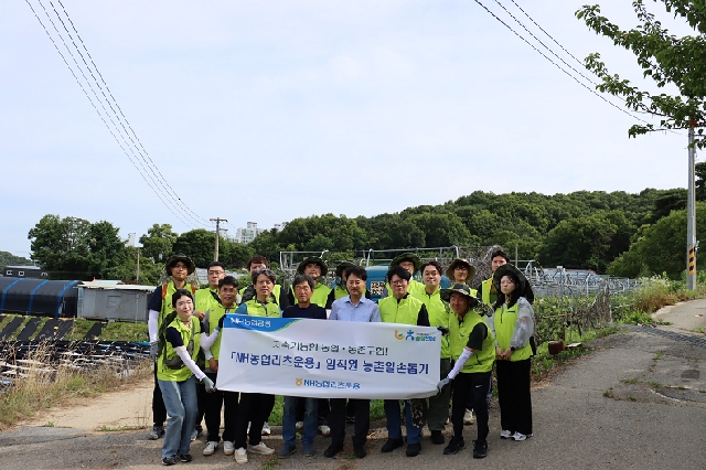 NH농협리츠운용, 포도농가 일손돕기 실시 대표 이미지